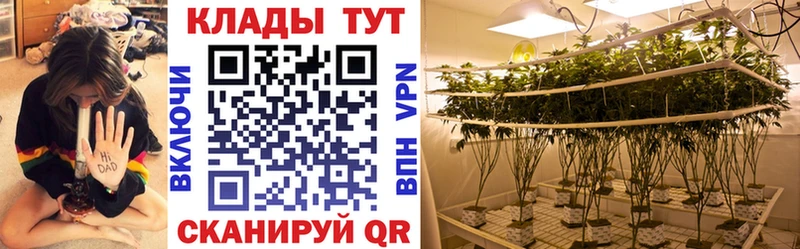 Где купить наркотики Каменка MEGA зеркало КОКАИН Alpha PVP Галлюциногенные грибы