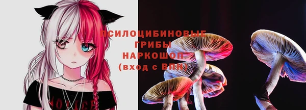 PSILOCYBIN Володарск