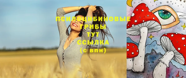 стафф Верхний Тагил