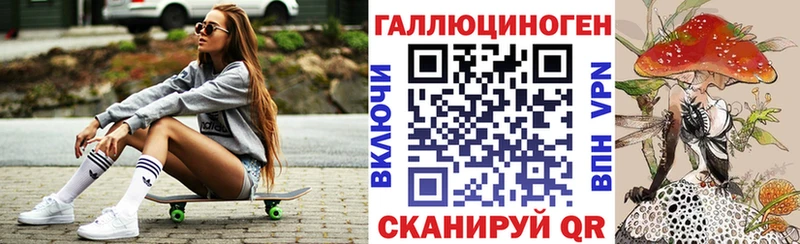закладки  Каменка  Псилоцибиновые грибы Psilocybe 