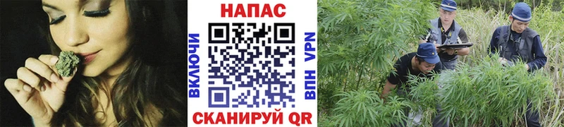 Канабис THC 21% Каменка